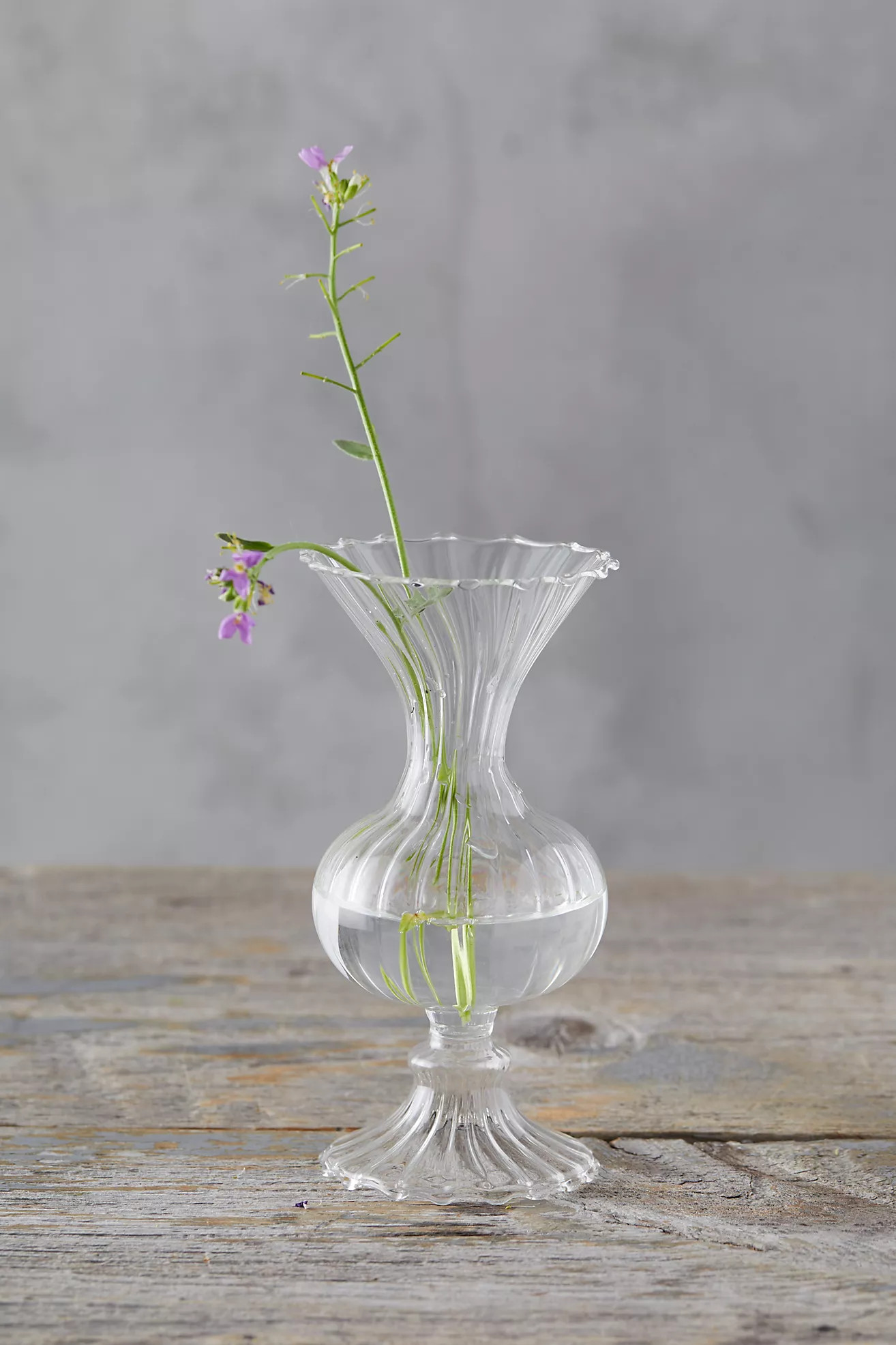 Scalloped Glass Vase | Anthropologie (US)