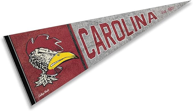 College Flags & Banners Co. South Carolina Gamecocks Pennant Throwback Vintage Banner | Amazon (US)