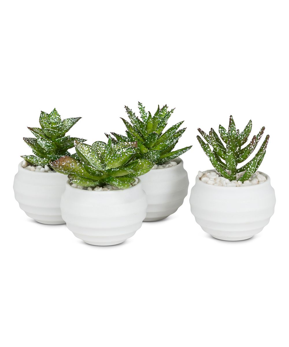 Abbott Faux Plants - Green Glitter Potted Succulents - Set of Four | Zulily