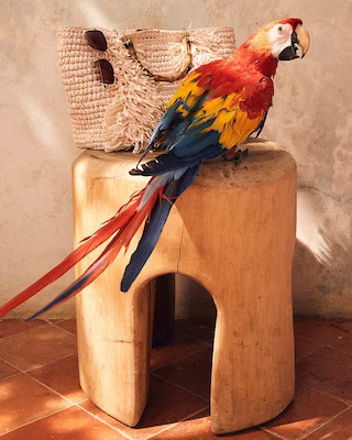 Bamboo Handle Tote Bag | Chico's