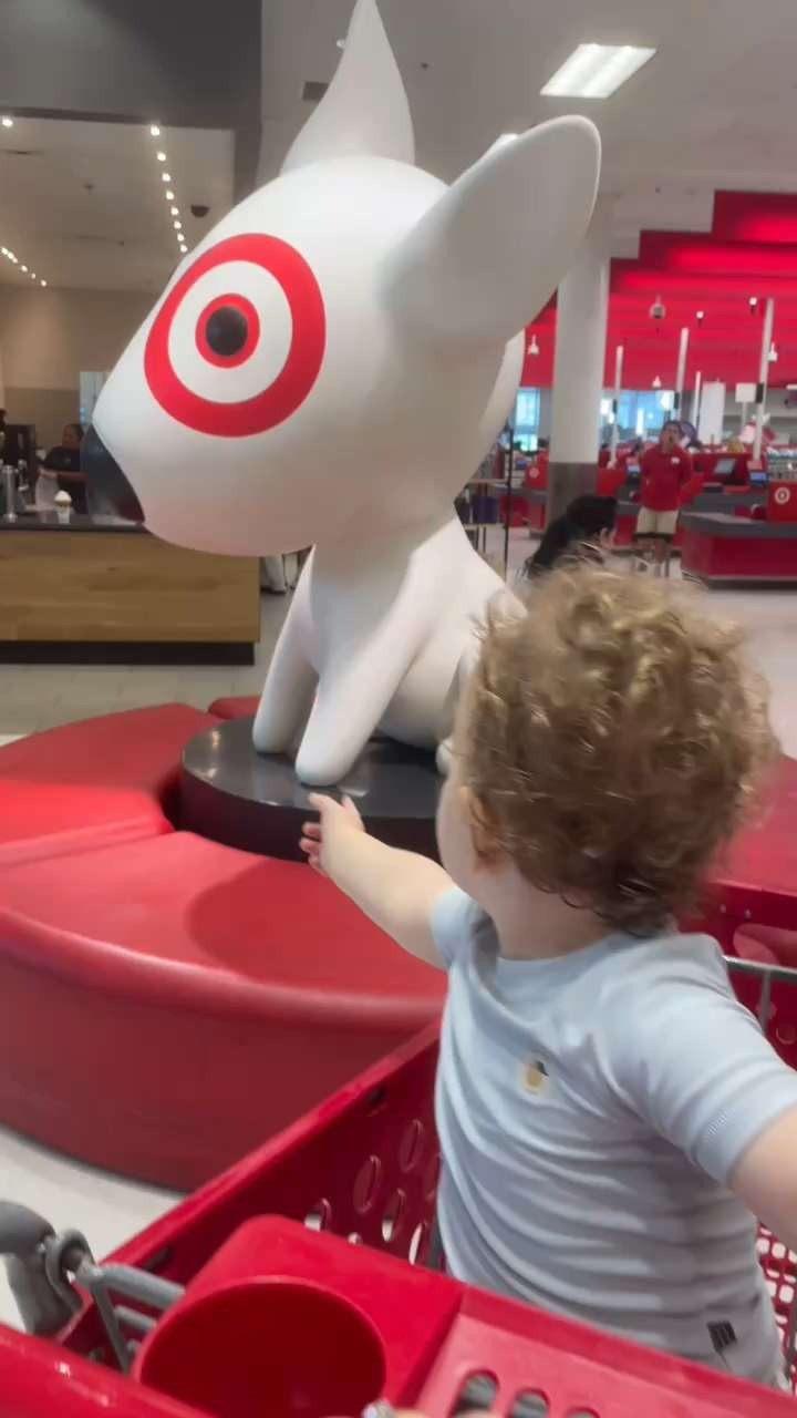 Blacked out in Target, Here's the Haul 

 #LTKSeasonal #LTKFindsUnder50 #LTKFamily