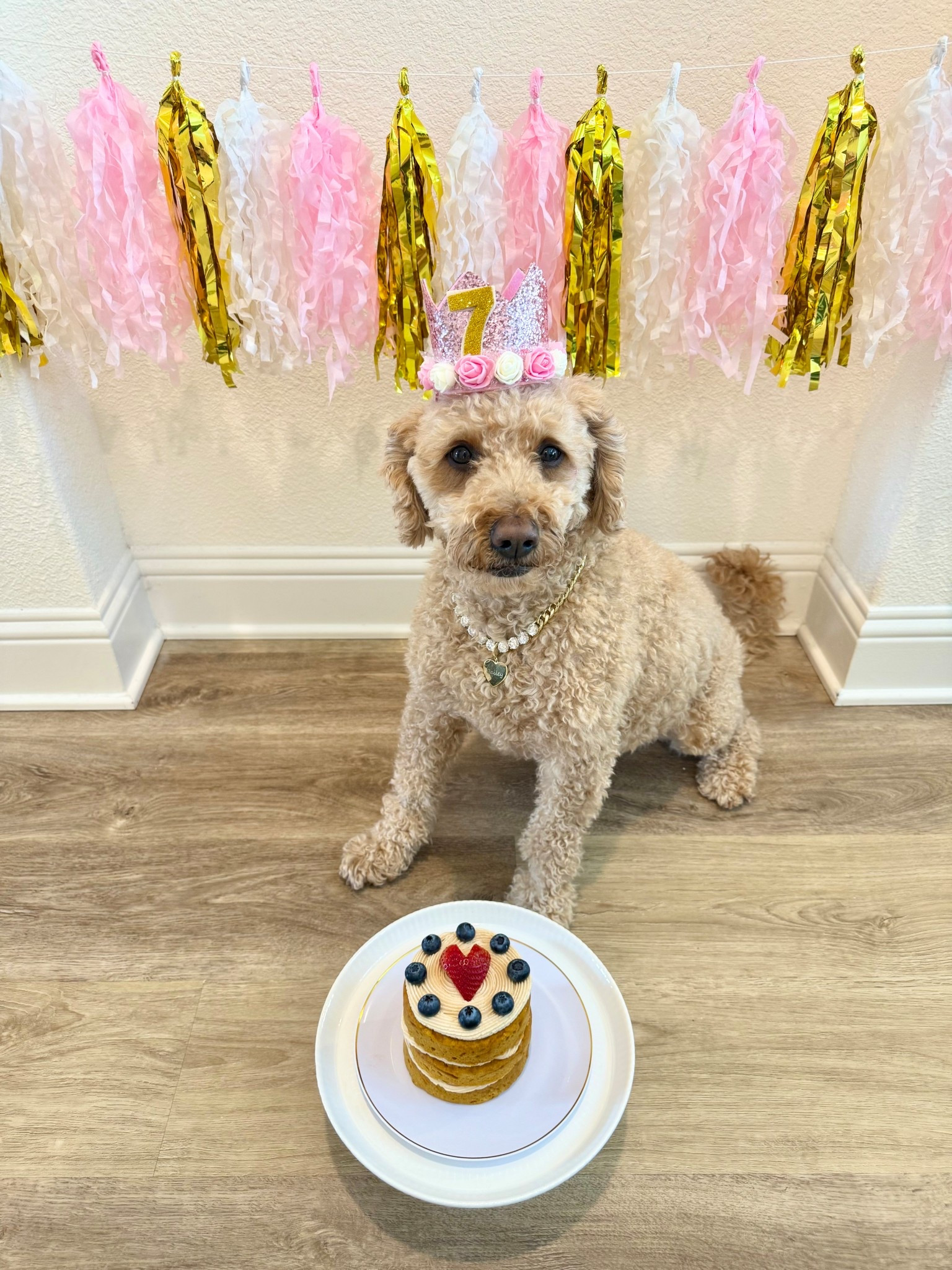 Things I use for my pup’s birthday photoshoot! She is 7 today! 🩷 I’ve been using the garland and crown since her first birthday! 

#LTKmomlife #LTKSaleAlert #LTKstorytime