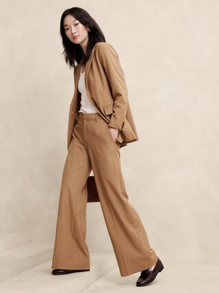 Sculpted Wide-Leg Trouser | Banana Republic Factory