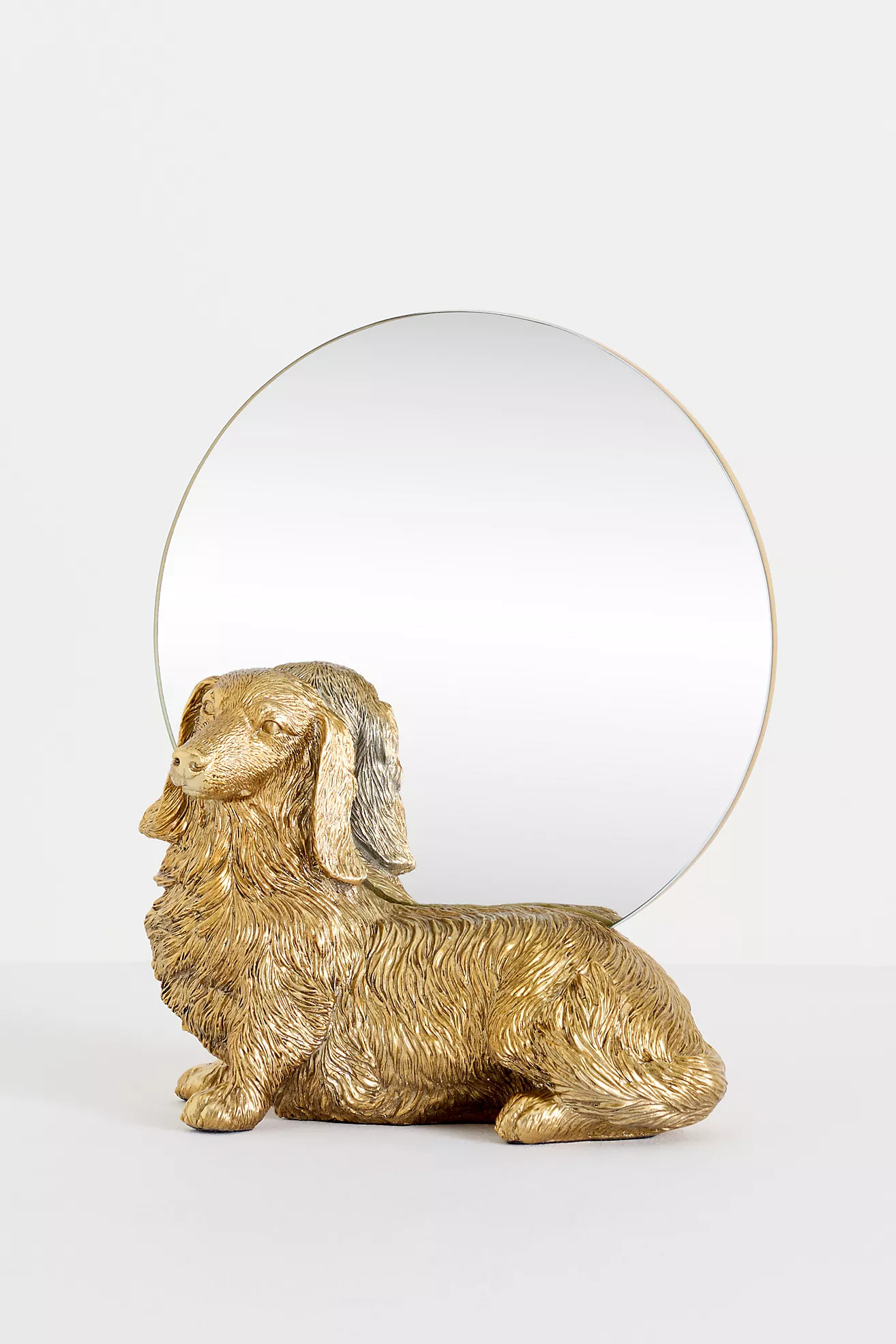 Icon Vanity Mirror: Dog Edition | Anthropologie (US)