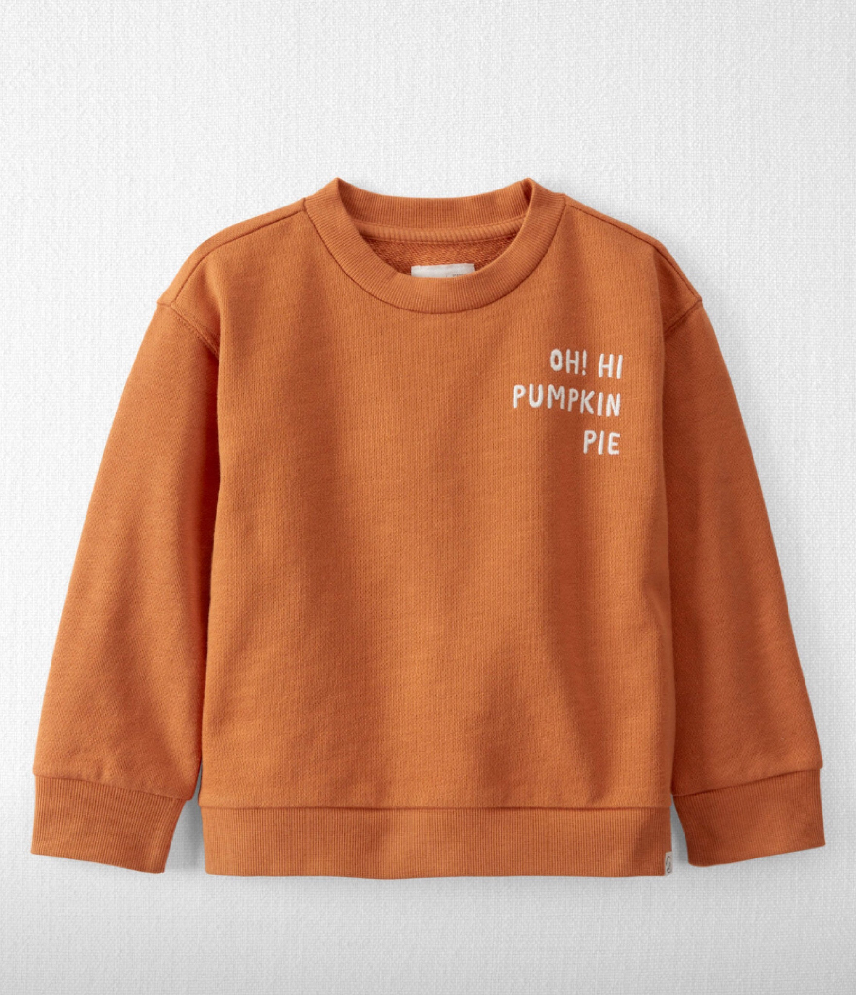 Picked this fall toddler sweatshirt up for Elsa! She had the onesie version last year and it was so cute 🥹 I know she’s going to get a ton of wear out of this pullover this season. Brand fits true to size 

Baby fall clothes, toddle fall clothes, fall sweatshirt, organic, pumpkin pie, carters, little planet 

#LTKBacktoSchool #LTKSeasonal #LTKBaby