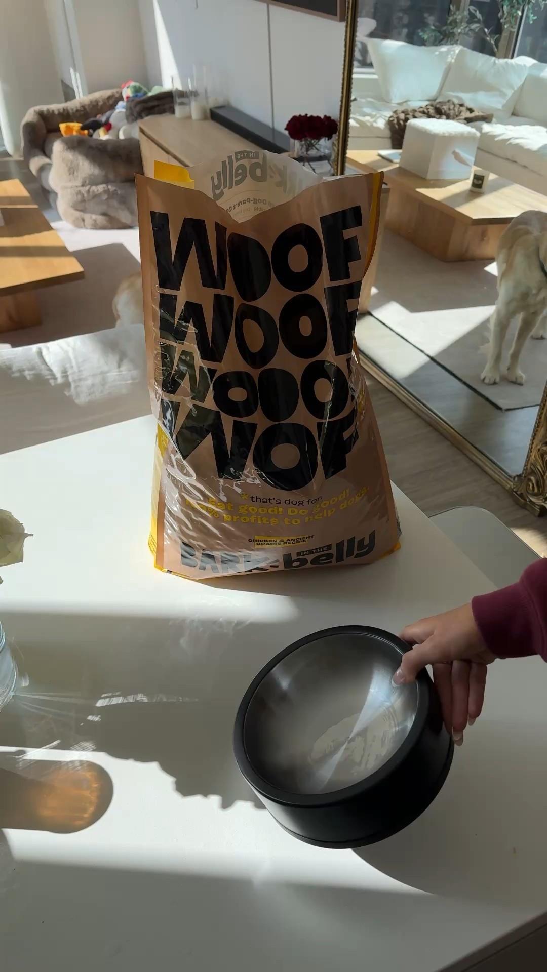 Bark In The Belly 🐶 100% of profits are donated to feed shelter dogs!! & you can get 50% off your first bag when you sign up for a 6-or 12-month plan 😌 #Ad #BarkPartner #BarkCoOwned #ShopDog