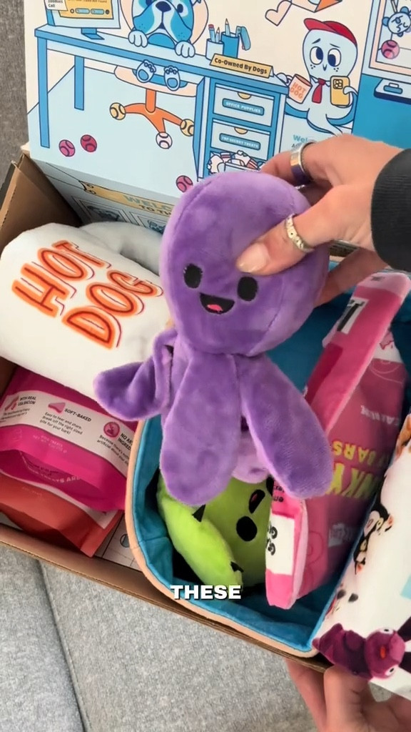 This delivery gets the CEO stamp of approval ✔ BarkBox never misses when it comes to Theo’s monthly lineup. He doesn’t just open it—he owns it. Being part of the Dog Committee means he helps shape the future of BarkBox, while also giving back to dogs in need. 

Everything in this post is shoppable below—Theo wouldn’t let me share it if it wasn’t up to standard 😅 #Ad #BarkPartner #ltkpet #dogcommittee #barkbox #doglife #petproducts 

🛍 Linked below on LTK!