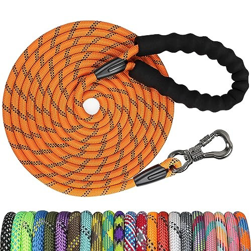 NTR 10FT Strong Dog Leash, Long Dog Leash with Swivel Lockable Hook and Comfortable Padded Handle, Cat Puppy Leash Lead for Small Medium Large Dogs Training, Playing, Camping,or Backyard | Amazon (US)
