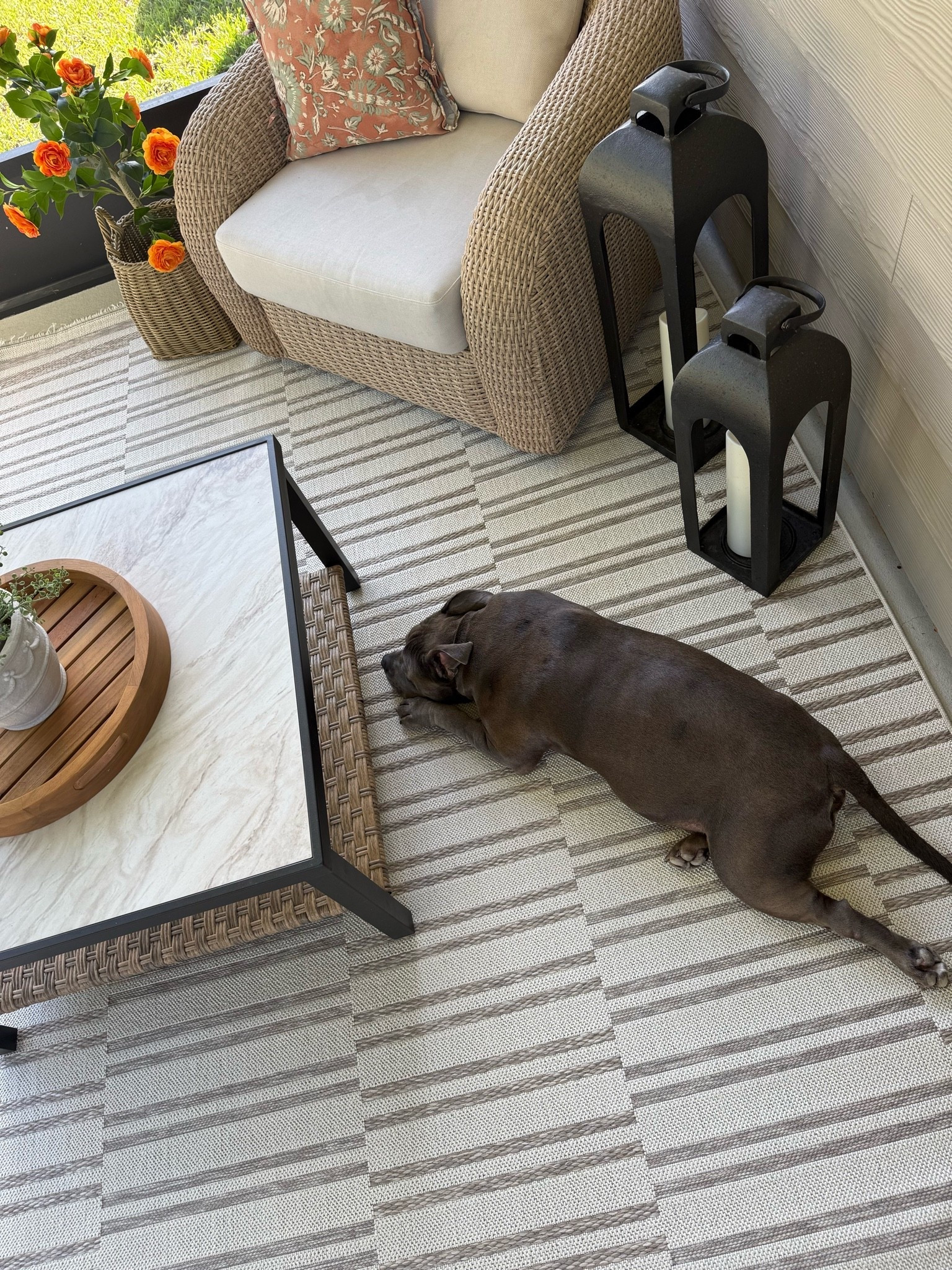 Loving our new outdoor rug! Loloi rugs are always my first choice- indoor or outdoor 👌🏽 its also included in amazons early prime day deals! 

Outdoor rug, patio rug, front porch, Loloi rugs, neutral rug, Amazon home finds

#LTKHome #LTKSaleAlert
