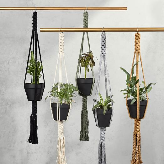 Yerbamala Designs Plant Hangers - Filament | West Elm (US)