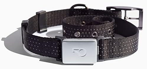 Whistle Switch GPS + Health + Fitness - Smart Dog Collar, 24/7 Dog GPS Tracker Plus Dog Health & Fit | Amazon (US)