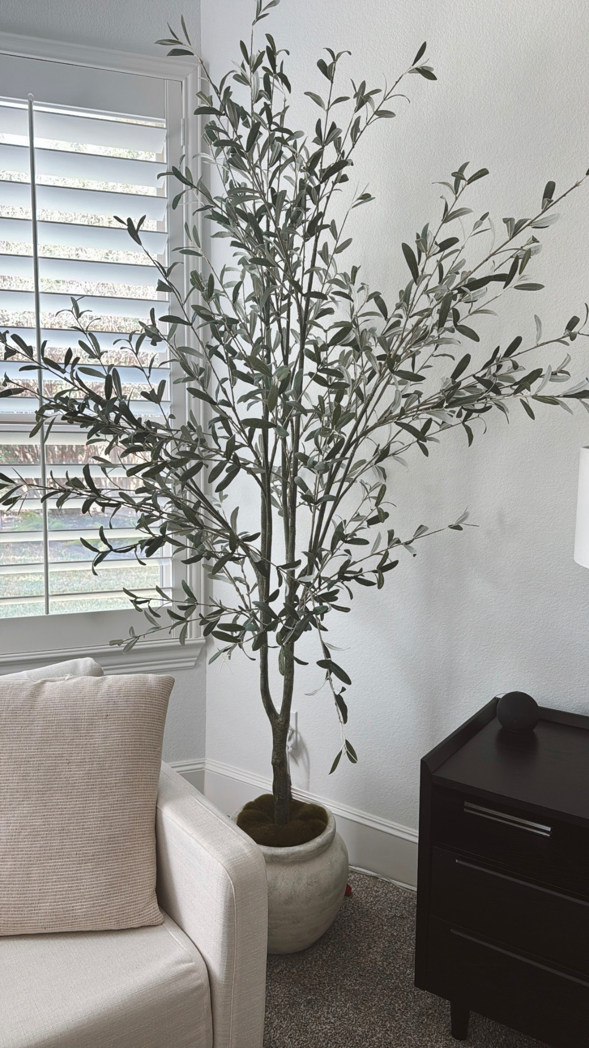 Our 93” tree is on major sale right now! 


#LTKHome #LTKSaleAlert