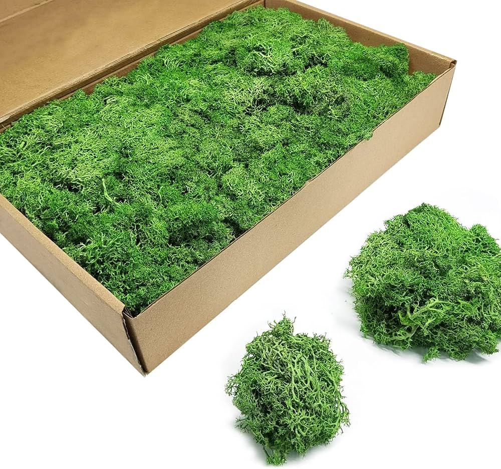 Brand: TurelinnG | Amazon (US)