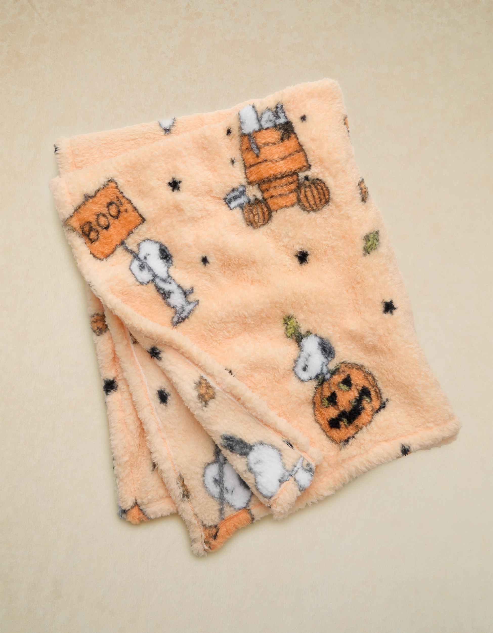 AE Snoopy Halloween Blanket | American Eagle Outfitters (US & CA)