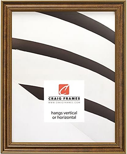 Craig Frames 314BR, Ornate Bronze Picture Frame, 11 x 14 Inch | Amazon (US)