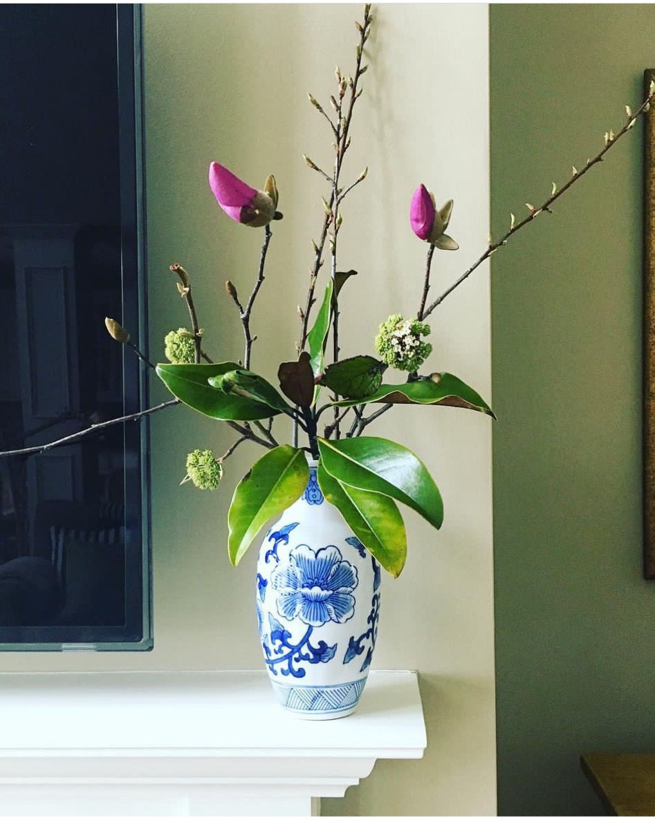 Having a few different sizes of blue and white vases means you will always be ready for flowers… add a smaller size like this to your collection !

#LTKCyberWeek #LTKHoliday #LTKGiftGuide
