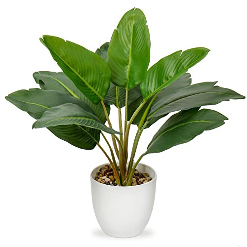 Hollyone Artificial Bird of Paradise Plant in Pot, Fake Palm Tropical Potted Plant 15" Faux Plantain Banana Leaf Plant for Indoor Outdoor Home Desk Office Garden Decoration | Amazon (US)
