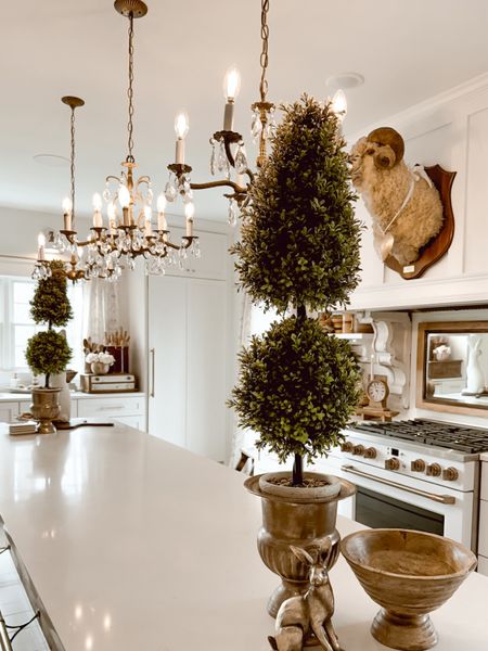 One of my favorite topiary plants is currently on sale as part of the Wayfair Big Outdoor Sale! I have two of them framing either side of our kitchen island. #wayfair #fauxplants #topiary #home #homedecor #kitchen 

#LTKsalealert #LTKhome