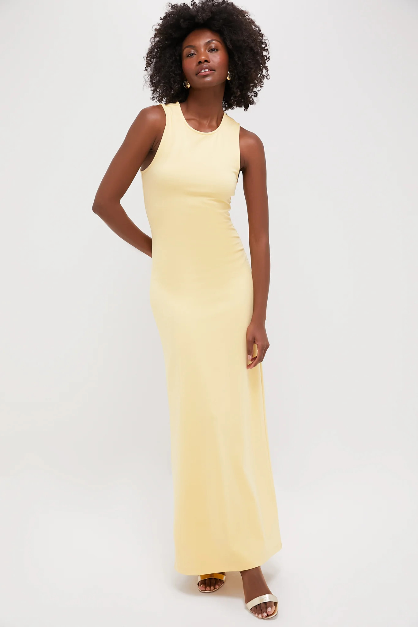 Pale Honey Bari Dress | Tuckernuck (US)