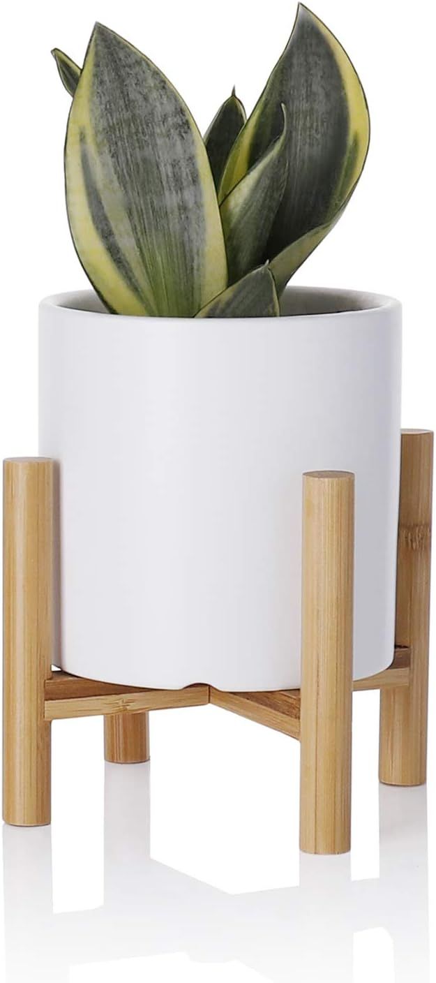 Greenaholics White Plant Pot with Stand 4.3In Desktop Plant Pot Stand with Ceramic Pot for Small ... | Amazon (US)