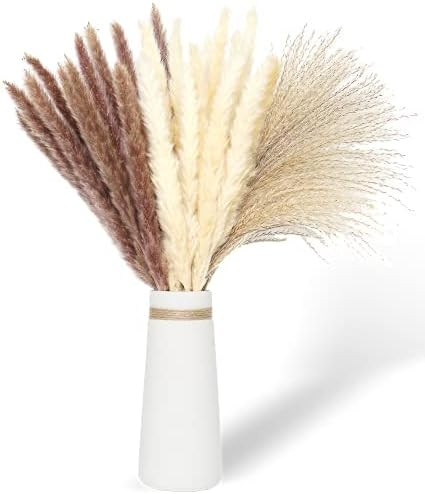 60 Pcs Pampas Grass | 15 Pcs White Pampas & 15 Pcs Brown Pampas & 30 Pcs Reed Grass/Natural Dried Pa | Amazon (US)