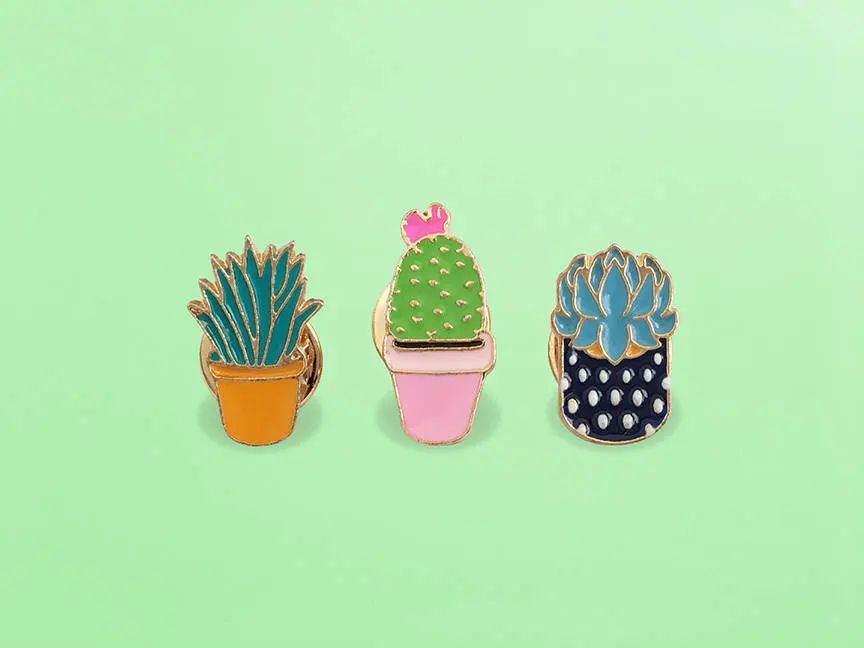 Get 10% OFF  Aloe Vera, Cactus, Succulent, Enamel Brooch Pin Set (Aloe Vera Brooch Pin, Cactus Brooch pin, Succulent Brooch Pin) | Etsy (US)