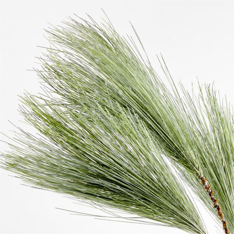 Faux Long Needle White Pine Stem 24" | Crate and Barrel | Crate & Barrel