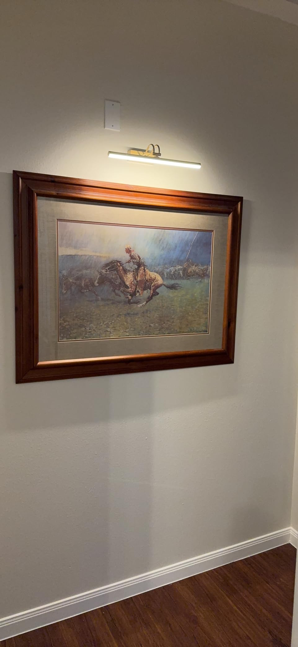 Picture Light, 16in Battery Operated Picture Lights for Paintings,Metal Remote Control Display Ar... | Amazon (US)