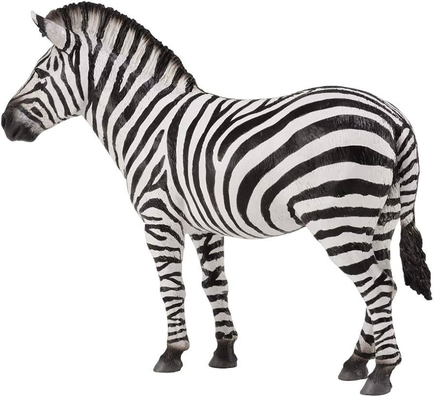 COLLECTA Common Zebra | Amazon (US)