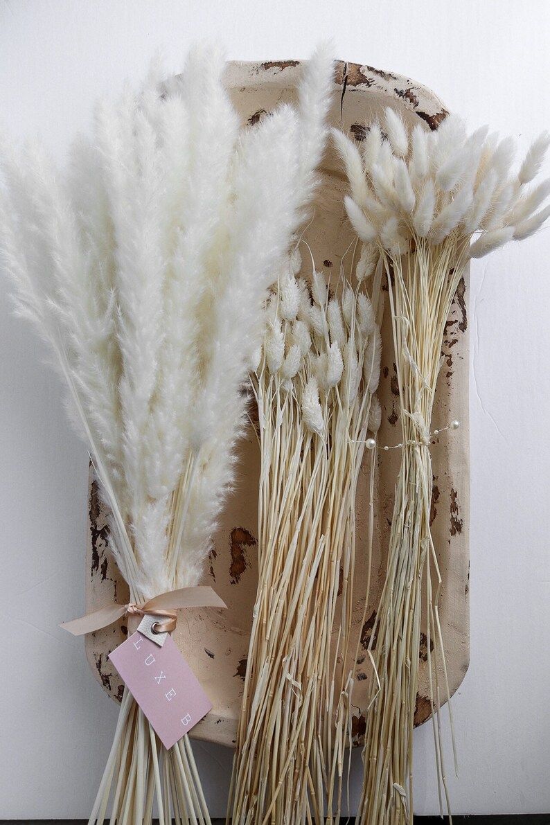 Dried bleach White Flower Bunnytails Pampas Bundle Promo | Etsy (US)