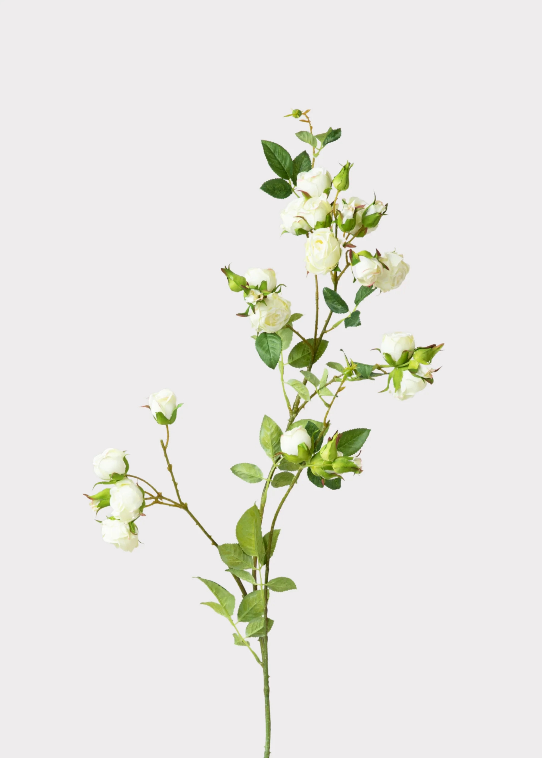 Faux Rose Branch in Cream White | Luxe Artificial Flowers | Afloral | Afloral