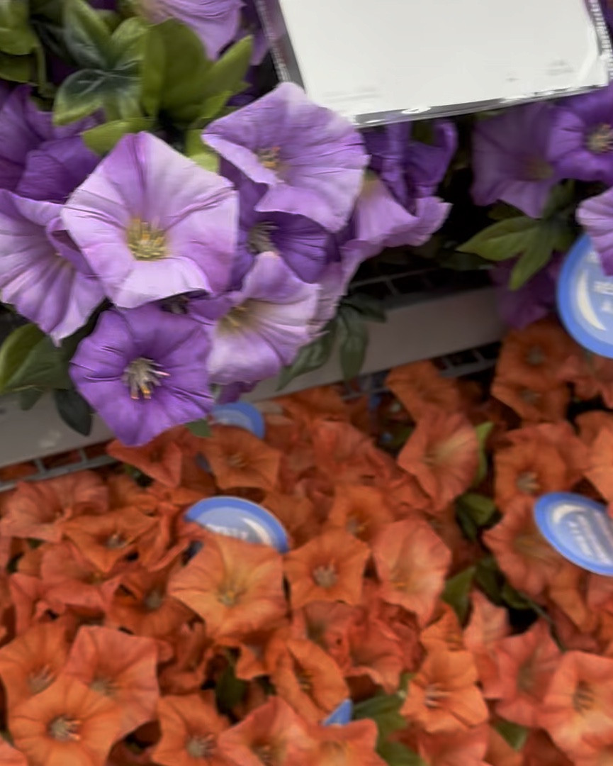 Plant challenged? These outdoor silks from #michaelsstores have you covered!

#LTKhome #LTKVideo #LTKSeasonal
