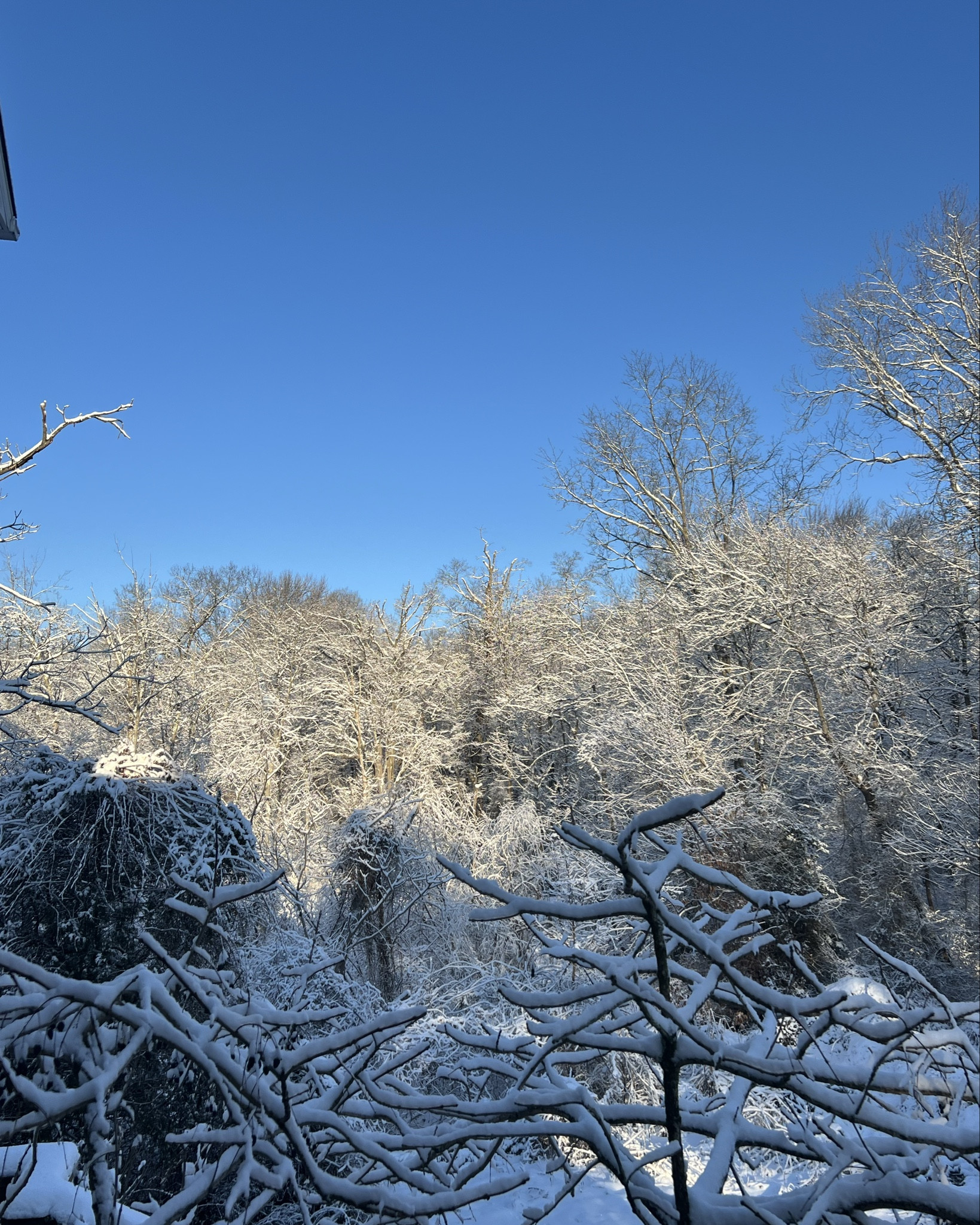 Quite moments 🥰


#LTKSeasonal #LTKstorytime