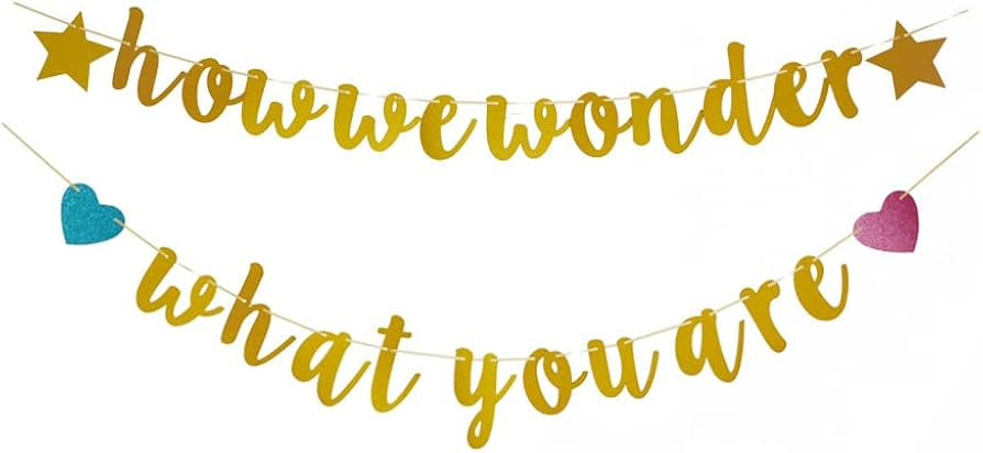How We Wonder What You Are Gold Banner Sign for Baby Shower Party, Gender Reveal Party Bunting, B... | Amazon (US)