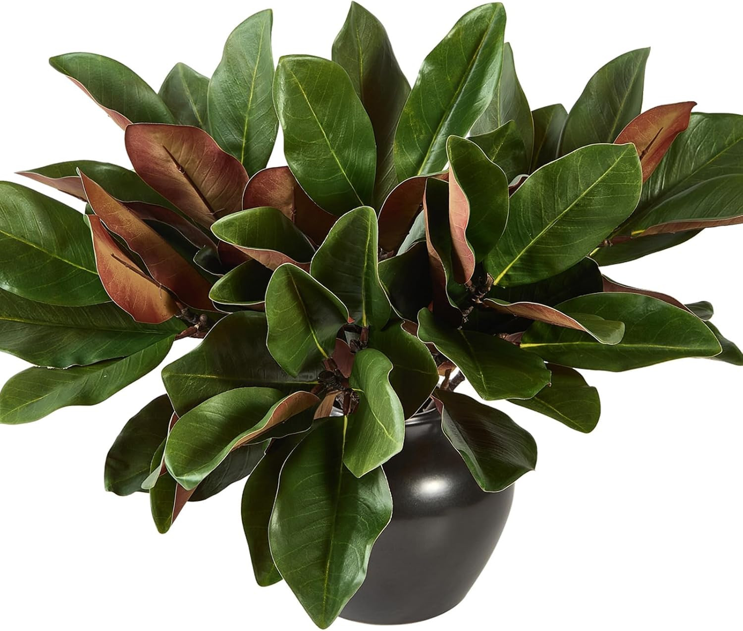 6 Pcs Magnolia Artificial Leaves Branches 22 Inch 3D Real Touch Faux Magnolia Stems Fake Magnolia Twigs for Indoor Outdoor Vase Filling Home Wedding Floral Arrangement Decoration | Amazon (US)
