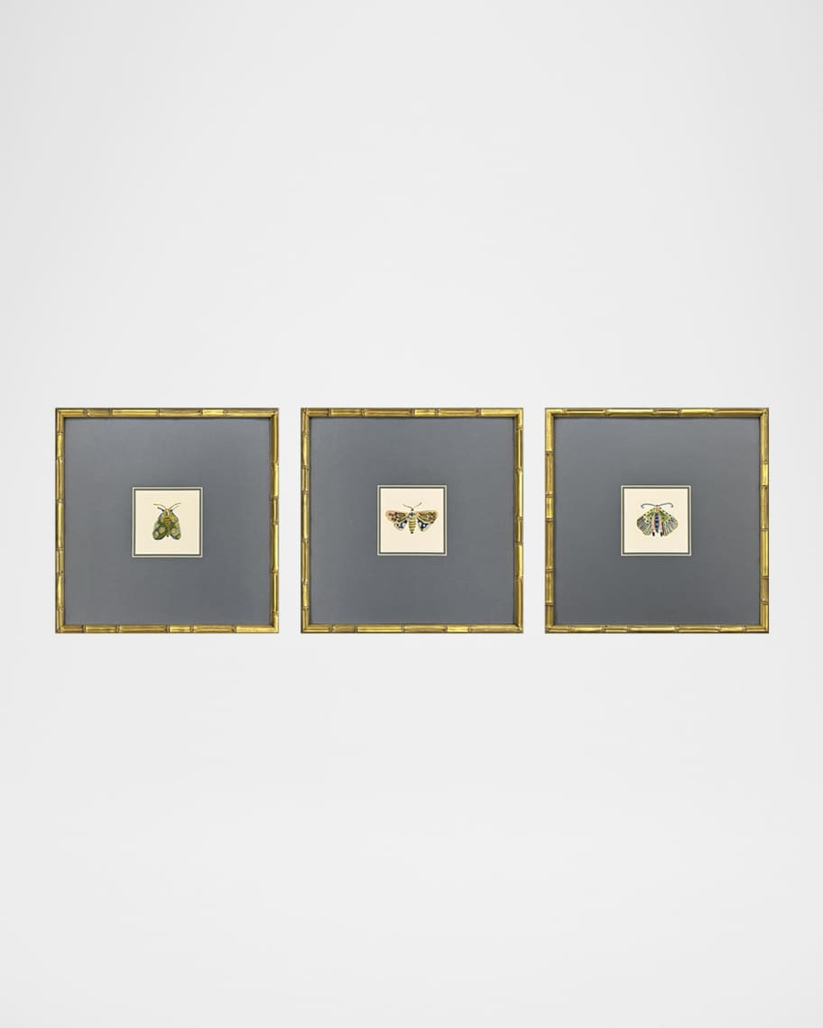 Paragon Decors "Pastel Moths II" Framed Giclees by Farida Zaman, Set of 3 | Neiman Marcus