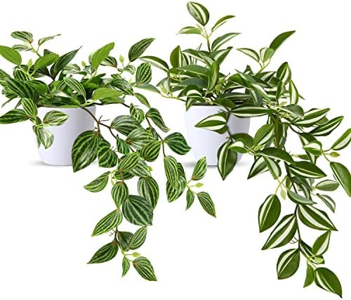 SOGUYI Fake Plants, Artificial Plants 15 Inch Faux Peperomia Watermelon Plants for Indoor Outdoor... | Amazon (US)