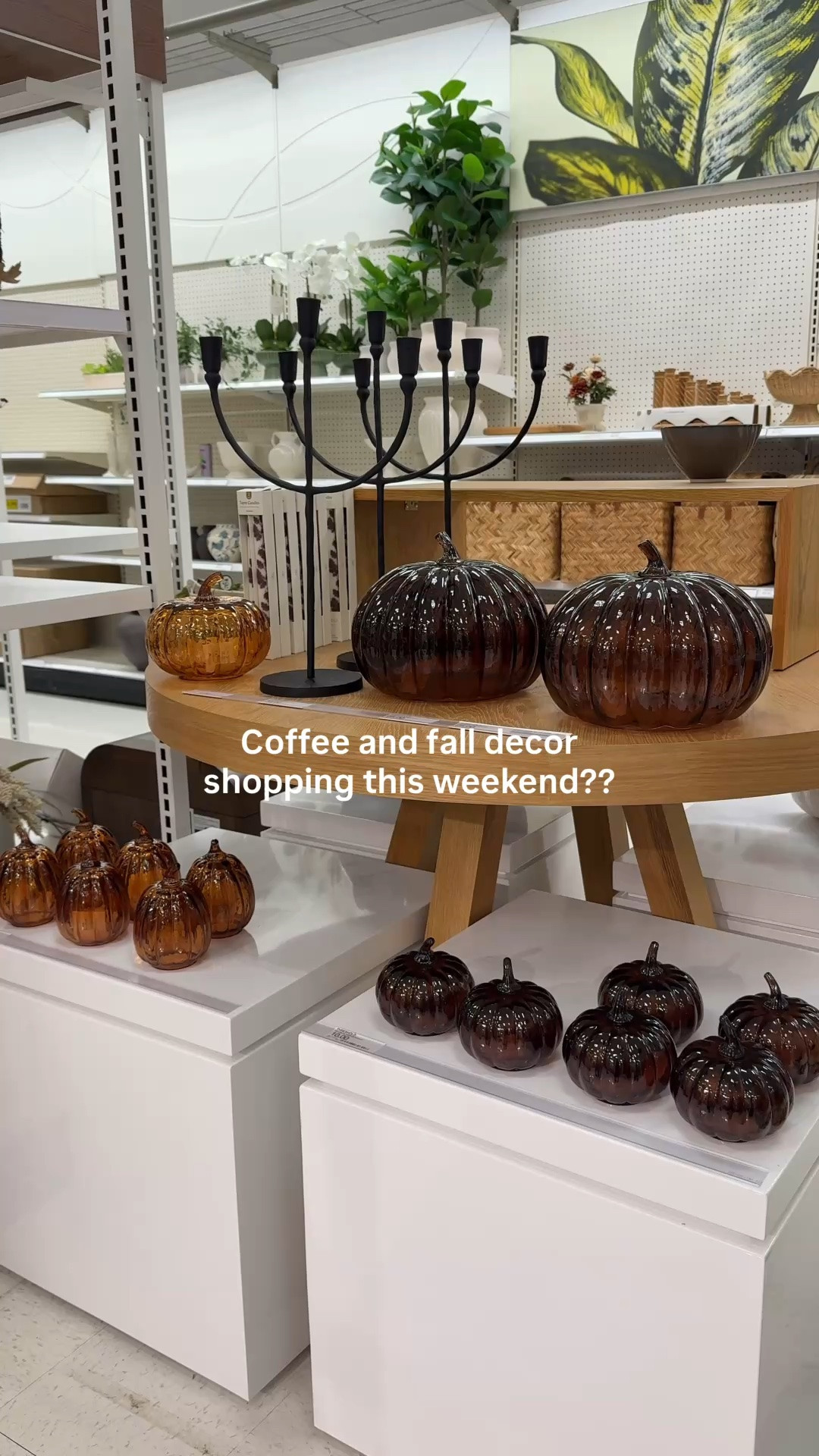 I waited longer to decorate this year but the new Target fall decor has me ready to go full fall vibes! 
I’m not huge on decorating for Halloween with pumpkins and ghosts, but I love all the deep fall tones and textures. I’ll be bringing in fall pieces like dried stems, pillow covers, art, candles, and maybe a glass pumpkin or two.

#LTKHome #LTKSeasonal