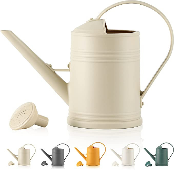 Watering Can for Indoor Plants, Flower Watering Can, Water Can for Plants, Indoor Watering Can wi... | Amazon (US)