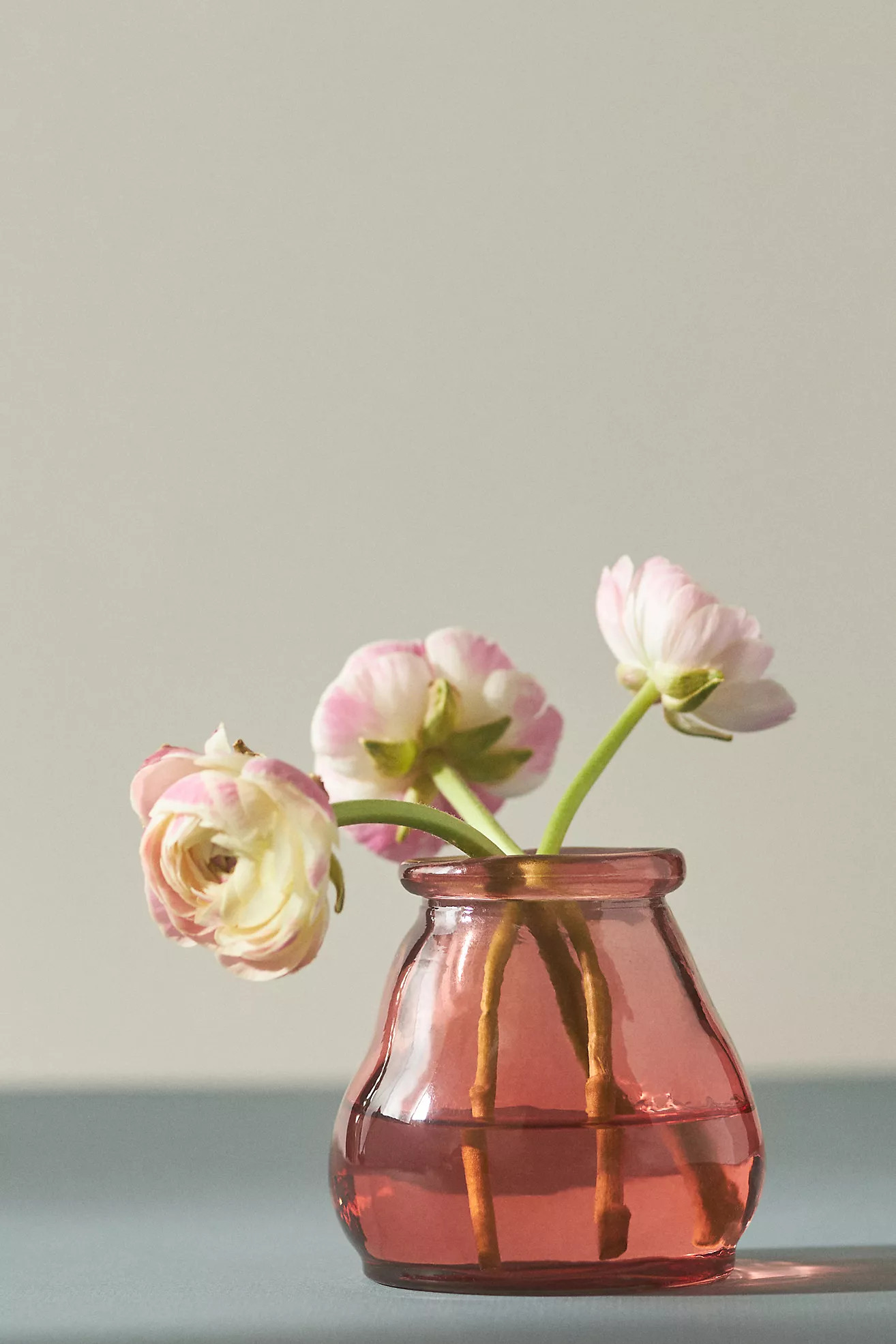 Valencia Bud Vase | Anthropologie (US)