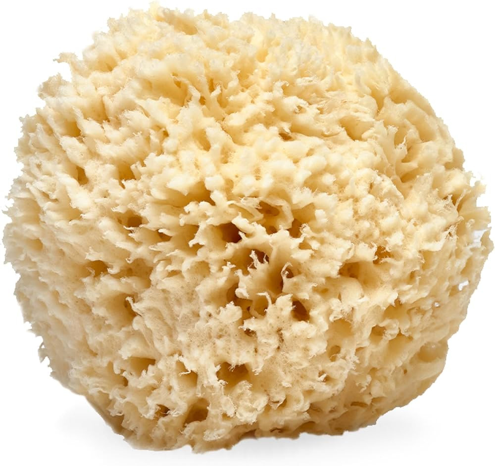 LATHER - Natural Sea Wool Sponge, 5-6" - Organic Exfoliating Body Scrubber - Soft, Gentle Cleansi... | Amazon (US)