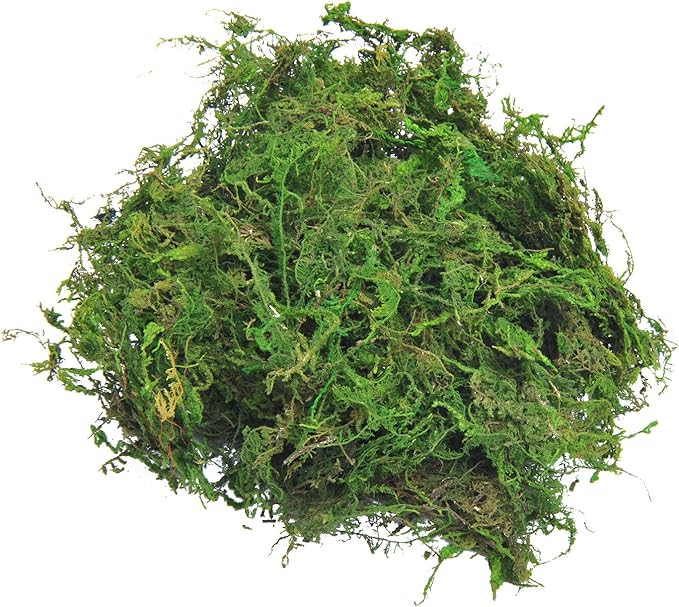 TOPCOMWW Fake Moss for Centerpieces Decor, Aftificial Green Moss for Plant Crafts Flower, 3.5oz | Amazon (US)