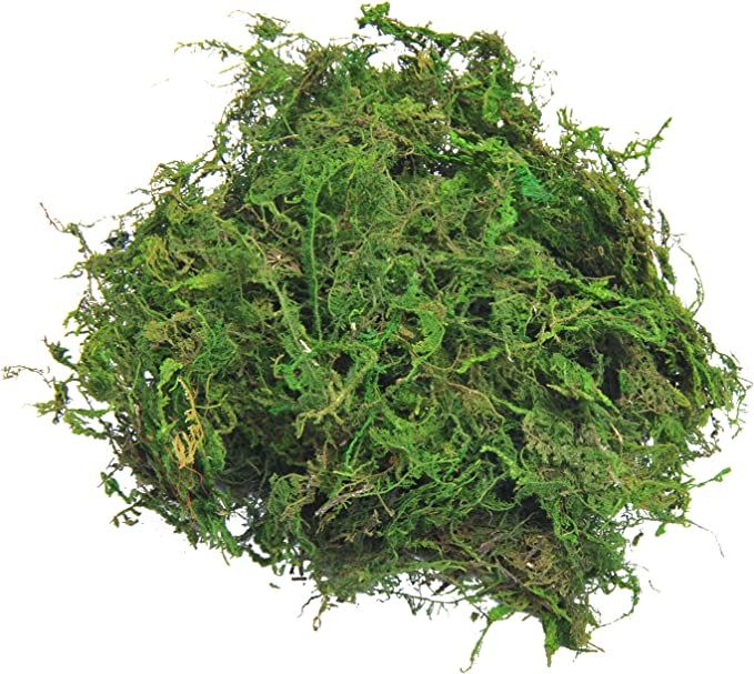 TOPCOMWW Fake Moss for Centerpieces Decor, Aftificial Green Moss for Plant Crafts Flower, 3.5oz | Amazon (US)