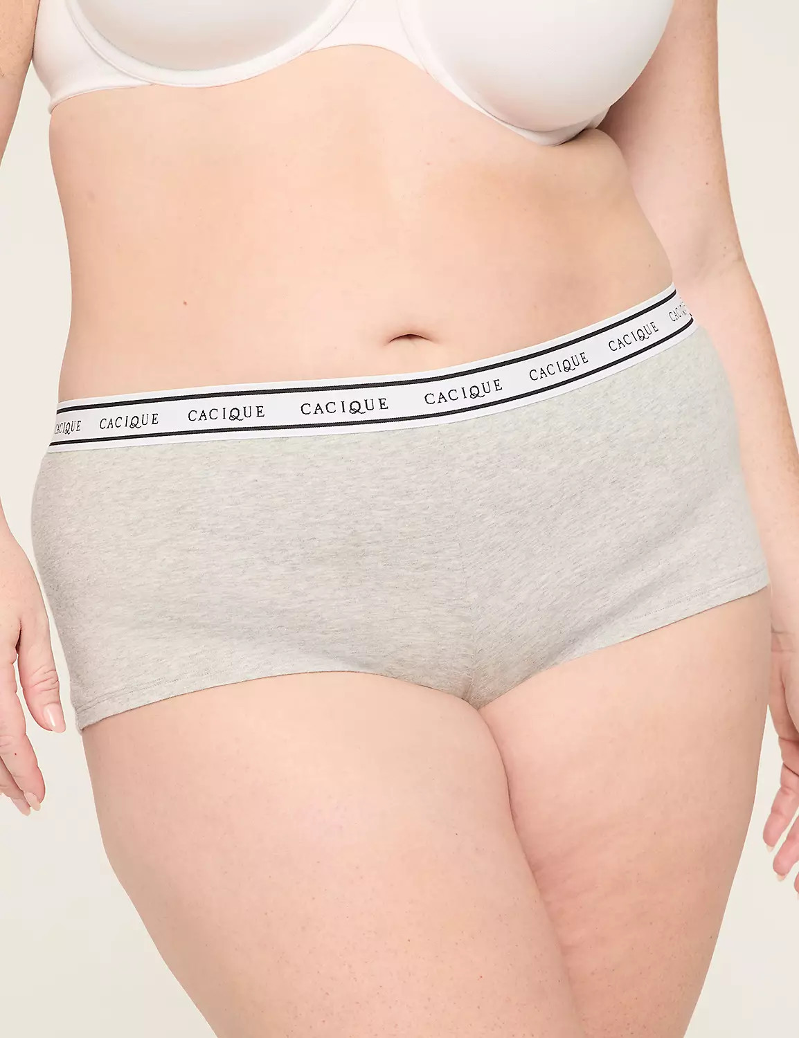 Cotton Boyshort Panty With Wide Waistband | Lane Bryant (US)