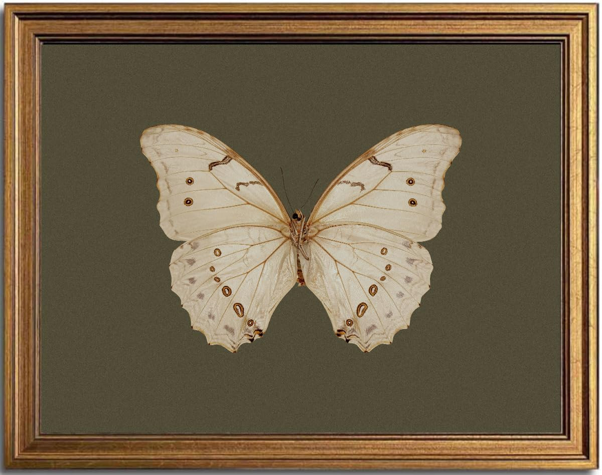 KBKBART Vintage White Butterfly Wall Art, Framed Wall Art Insect Pictures Wall Decor Aesthetic, D... | Amazon (US)