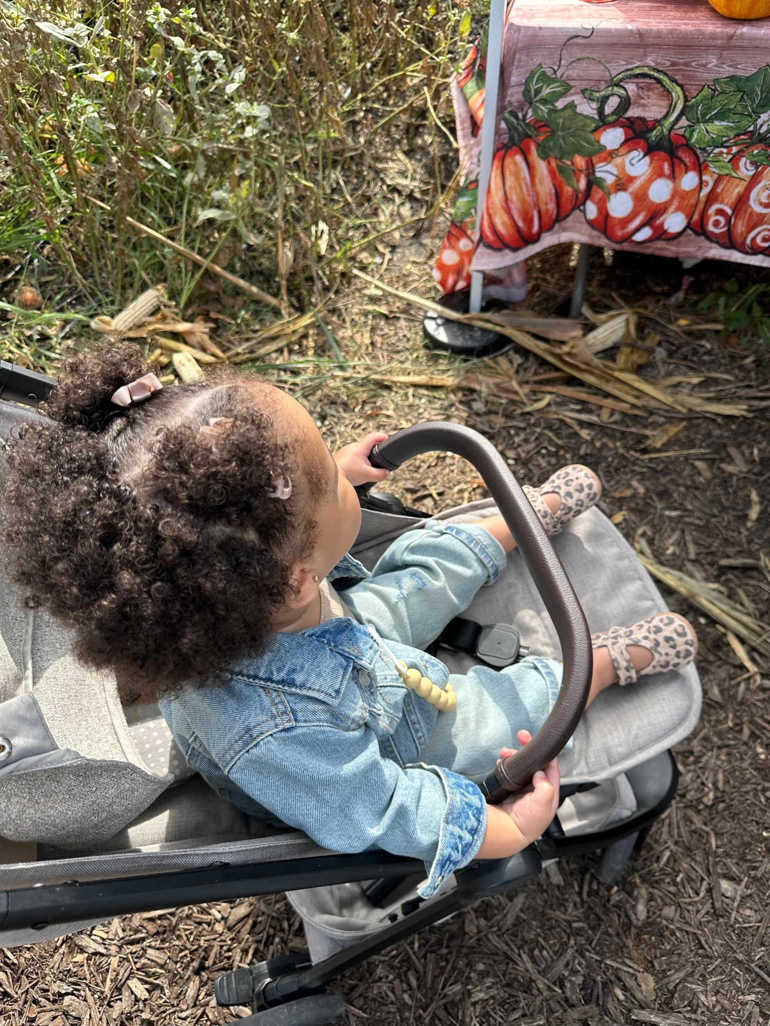 denim on denim at the pumpkin patch.
Everything is on sale for crazy good prices!


#LTKStyleTip #LTKKids #LTKBaby