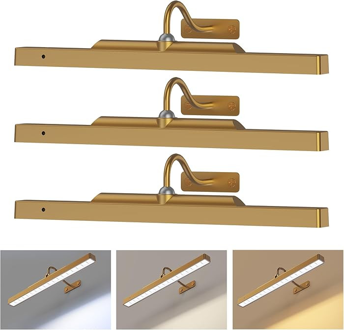 Picture Light Battery Rechargeable, 3Pack Picture Light for Wall with Remote, 3 Color Modes and D... | Amazon (US)