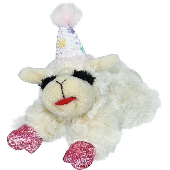 Multipet® Birthday Lamb Chop Dog Toy | PetSmart