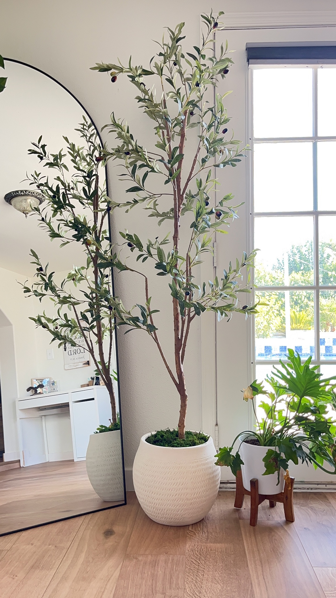 ✨Enamorada de mi Olive Tree 🫒 


#LTKHome #LTKStyleTip #LTKSeasonal