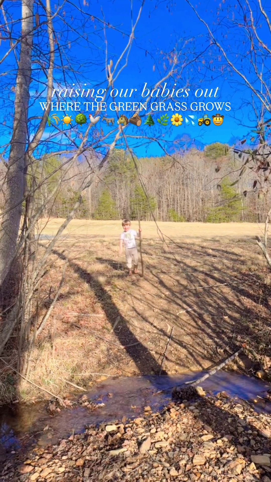 raising our babies out where the green grass grows 🌾☀️🌳🐓🫏🐴🪵🌲🌿🌼💦🚜🤠

#LTKdayinmylife #LTKKids